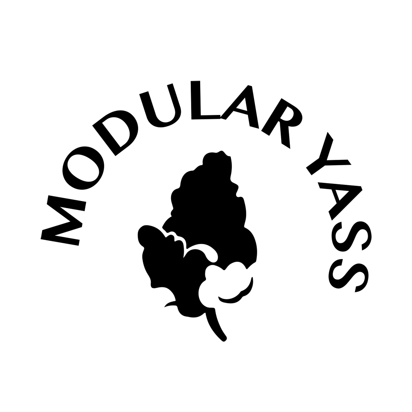 MODULAR YASS